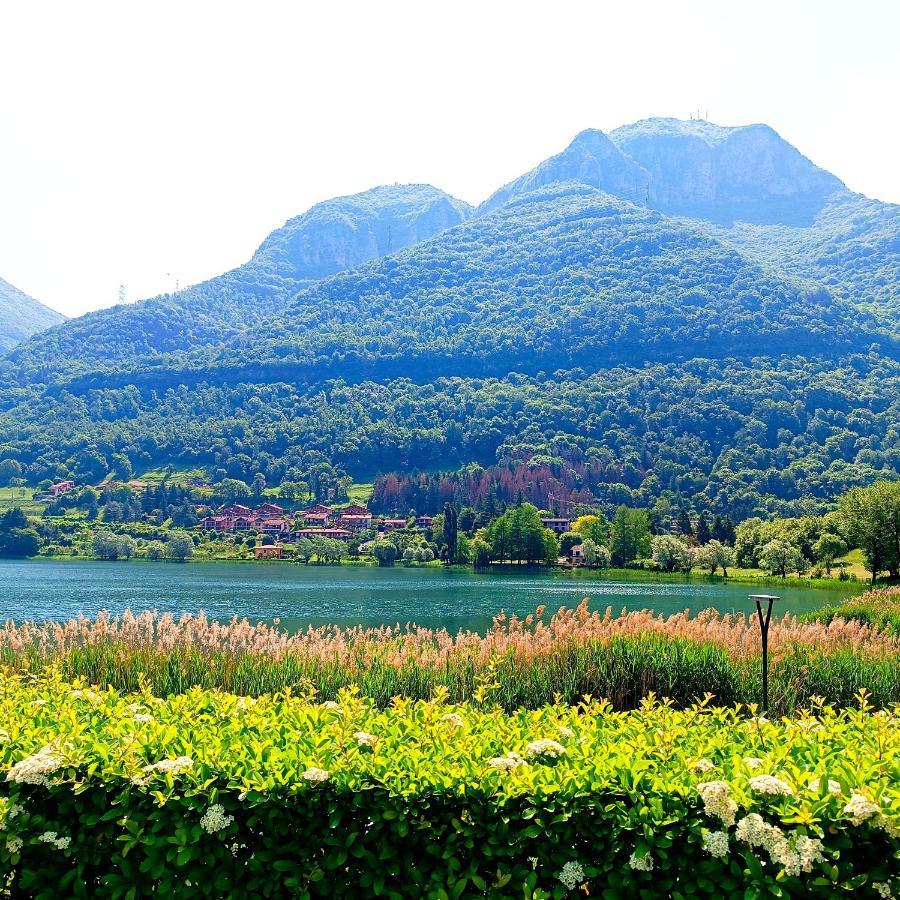 Casa Vacanze Alessandro Spinone Al Lago Buitenkant foto